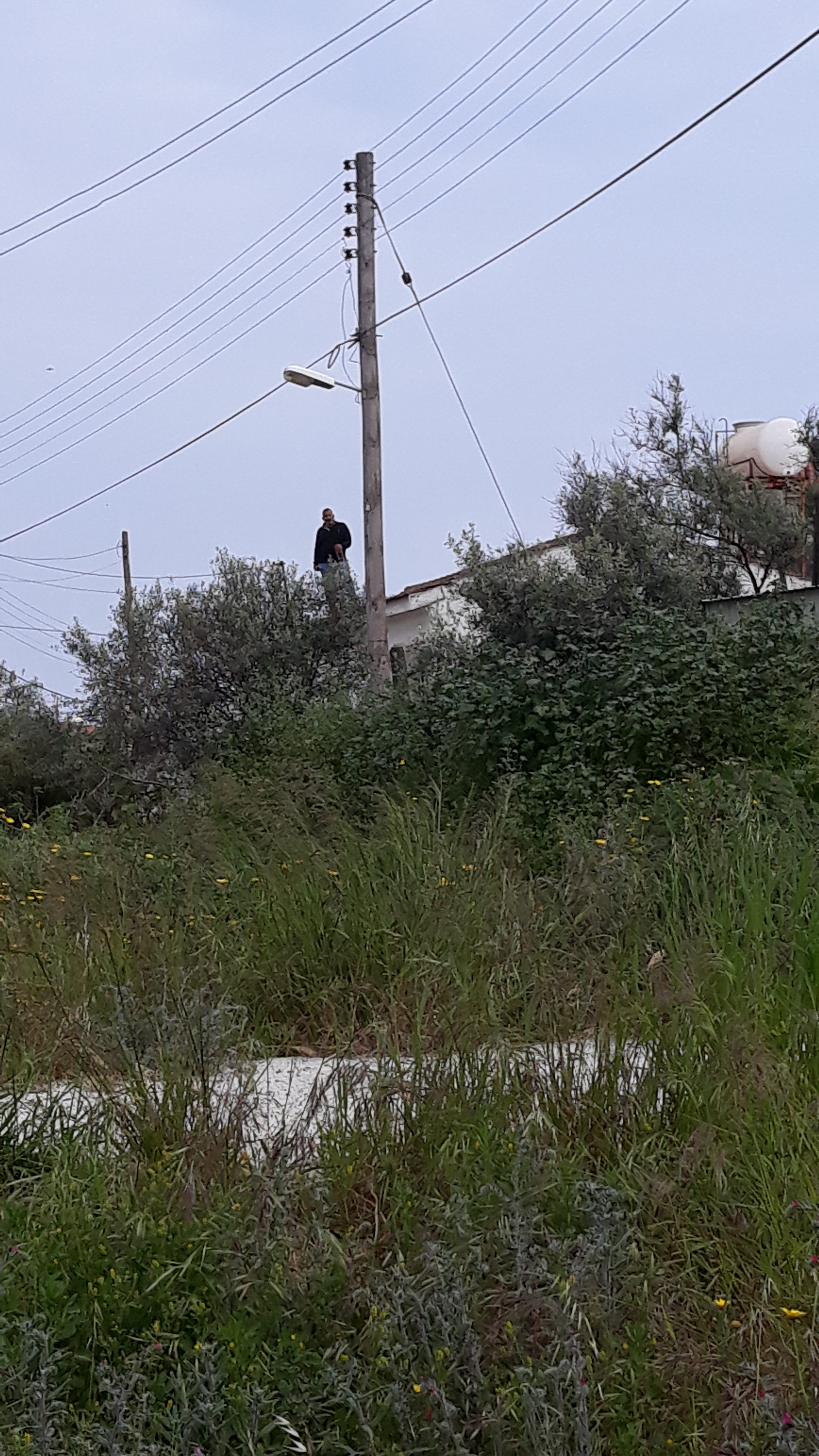 ΛΑΡΝΑΚΑ – ΕΞΩΣΗ: Τσακωμός μπροστά στις κάμερες –  VIDEO