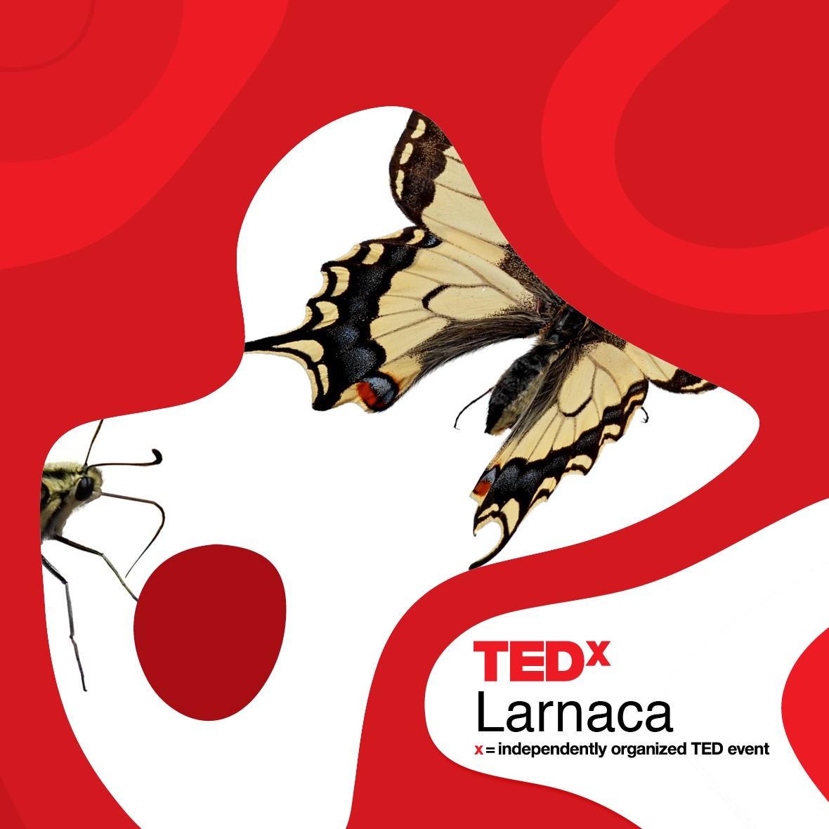 Το πρώτο TEDx έρχεται στην Λάρνακα