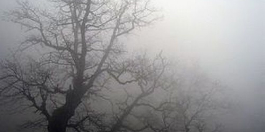 ΤΩΡΑ: Πυκνή ομίχλη στην περιοχή του Τροόδους (vid)