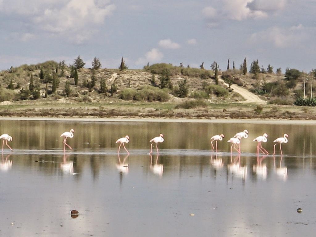 Η Λάρνακα συνεχίζει τους ψεκασμούς για τα κουνούπια