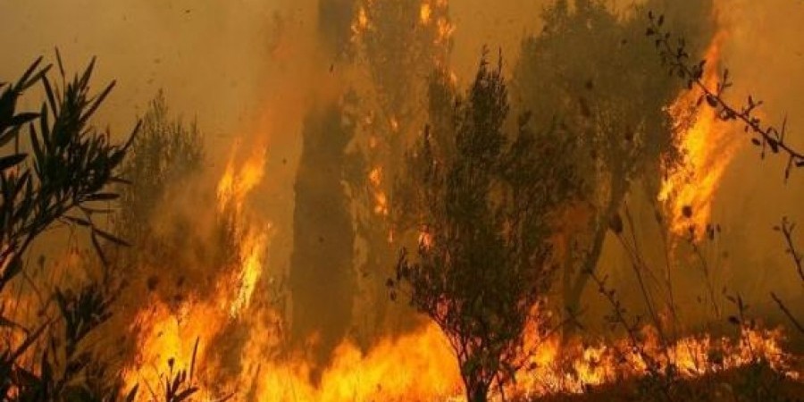 Σήμα κινδύνου για πυρκαγιές-Ποιος ο λόγος και τι προκαλεί ανησυχία