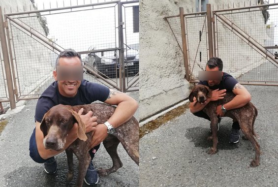 Ο σκύλος που κακοποιήθηκε στο φράγμα του Κούρη βρίσκεται πλέον σε καλά χέρια