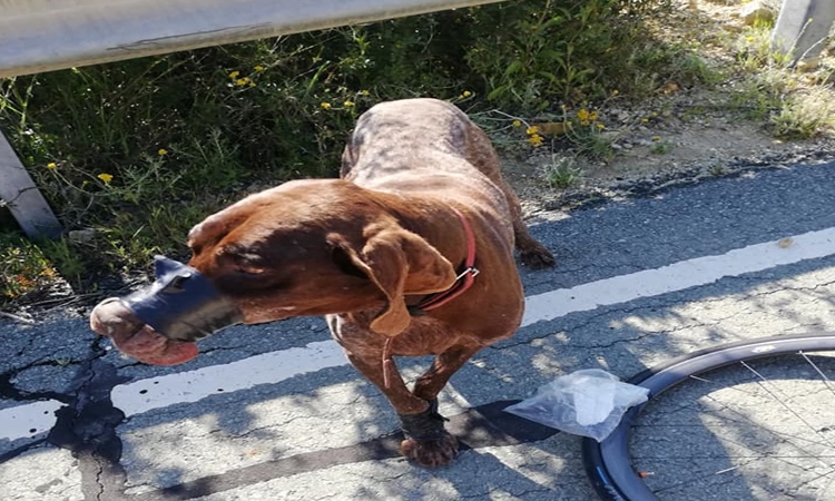 Αίσχος και ντροπή! Κάποιος στην Κύπρο έκανε αυτό! (pics)