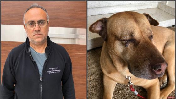 Επίθεση από Ροτβάιλερ δέχτηκαν ιδιοκτήτης και σκύλος στα Λειβάδια (ΒΙΝΤΕΟ&ΦΩΤΟ)