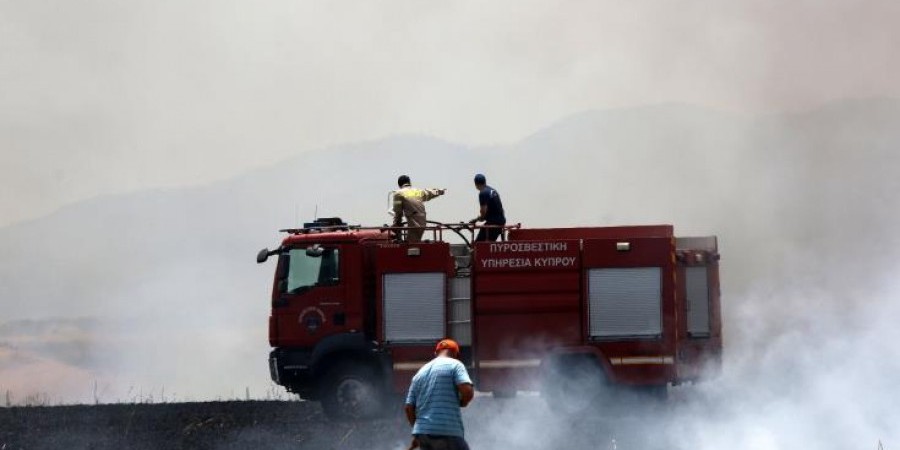 Στάχτη κτηνοτροφικό υποστατικό στην Αραδίππου