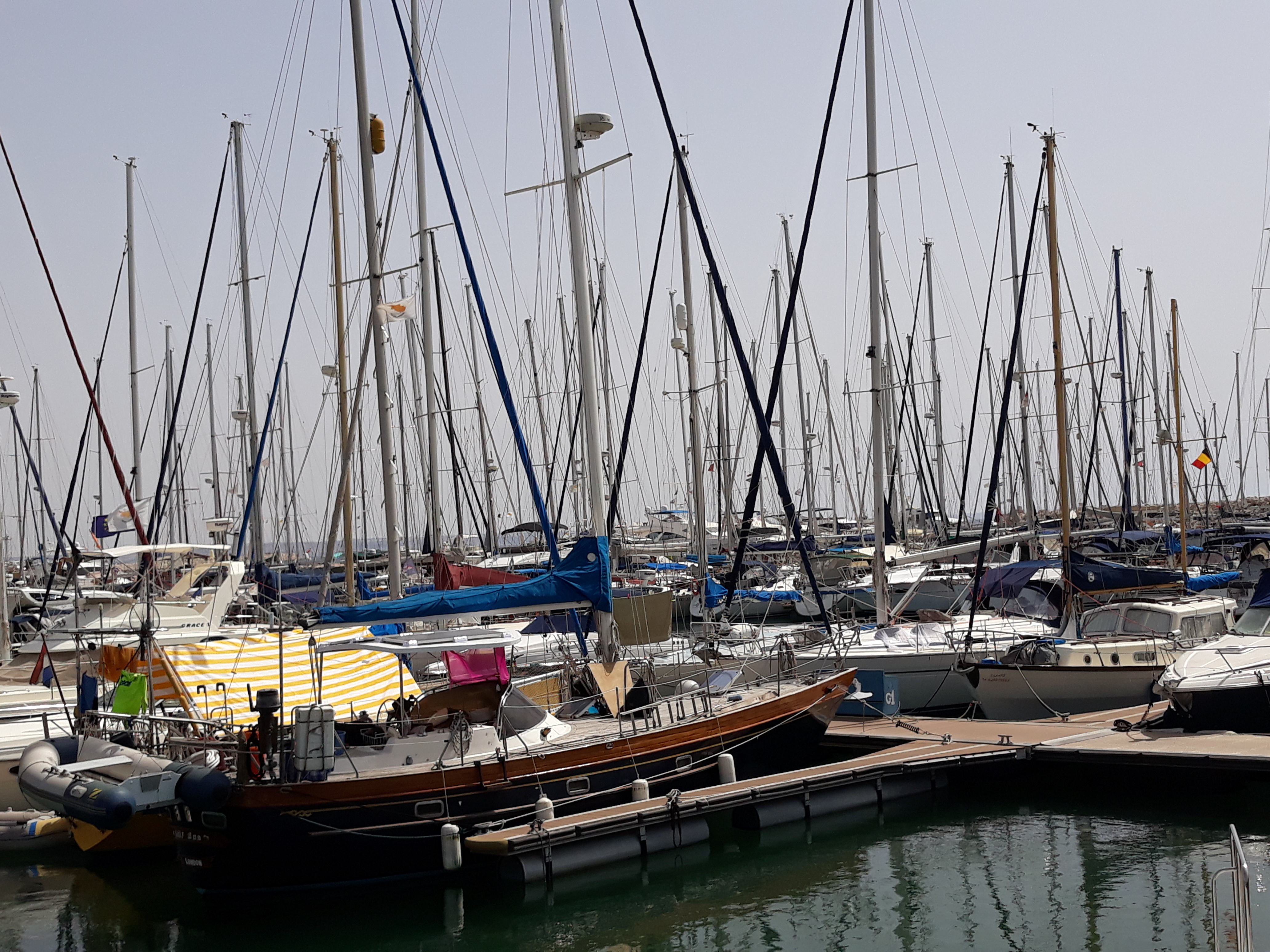 Η πρωινή ενημέρωση της ημέρας από τη Σκαλιώτισσα