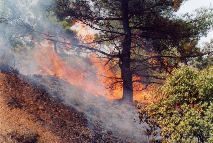 Σε επίπεδο «Κόκκινου Συναγερμού» ο κίνδυνος για πυρκαγιές