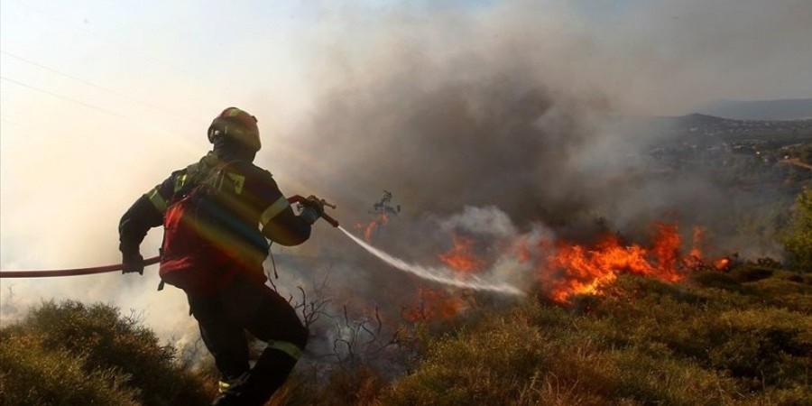 Τμήμα Δασών: Εξαιρετικά μεγάλος ο κίνδυνος πυρκαγιών