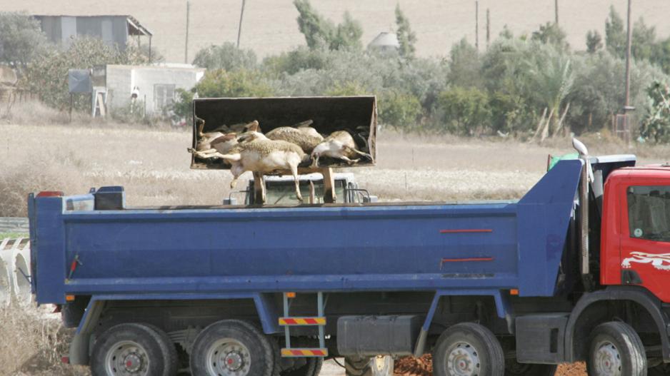 Υγειονομική “απειλή” για κατοίκους και πρόσφυγες στην περιοχή της Κοφίνου (VID)