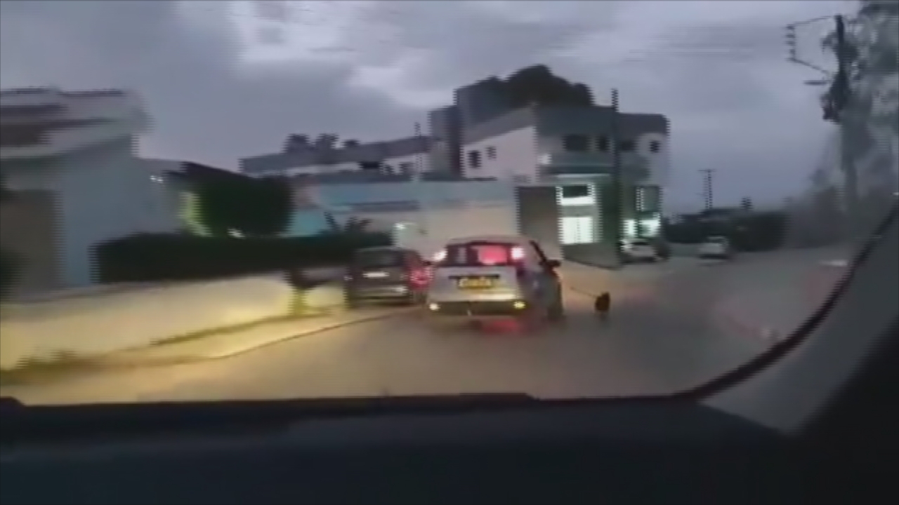 “Ξέρει όλο το χωριό ποιος το έκανε και δεν μιλά κανένας” (ΒΙΝΤΕΟ)
