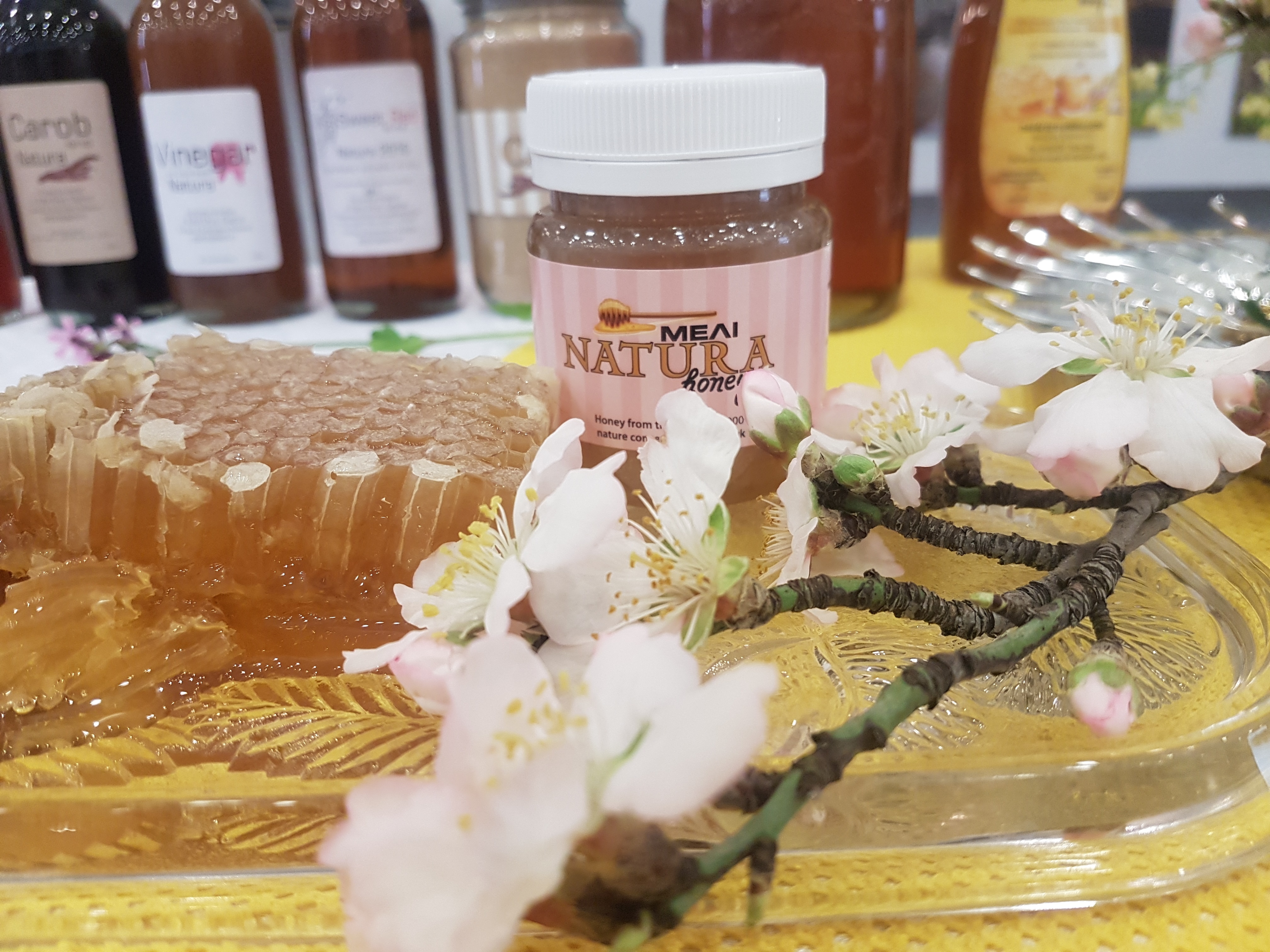 Εκδήλωση γευσιγνωσίας κηρήθρας και μελιού στο Μουσείο Μέλισσας και Κεντήματος στον Κάτω Δρυ