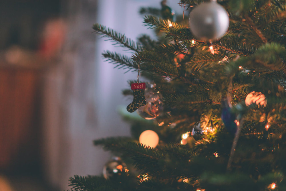 Αν δεν πήρες χριστουγεννιάτικο δέντρο επισκέψου το Τμήμα Δασών