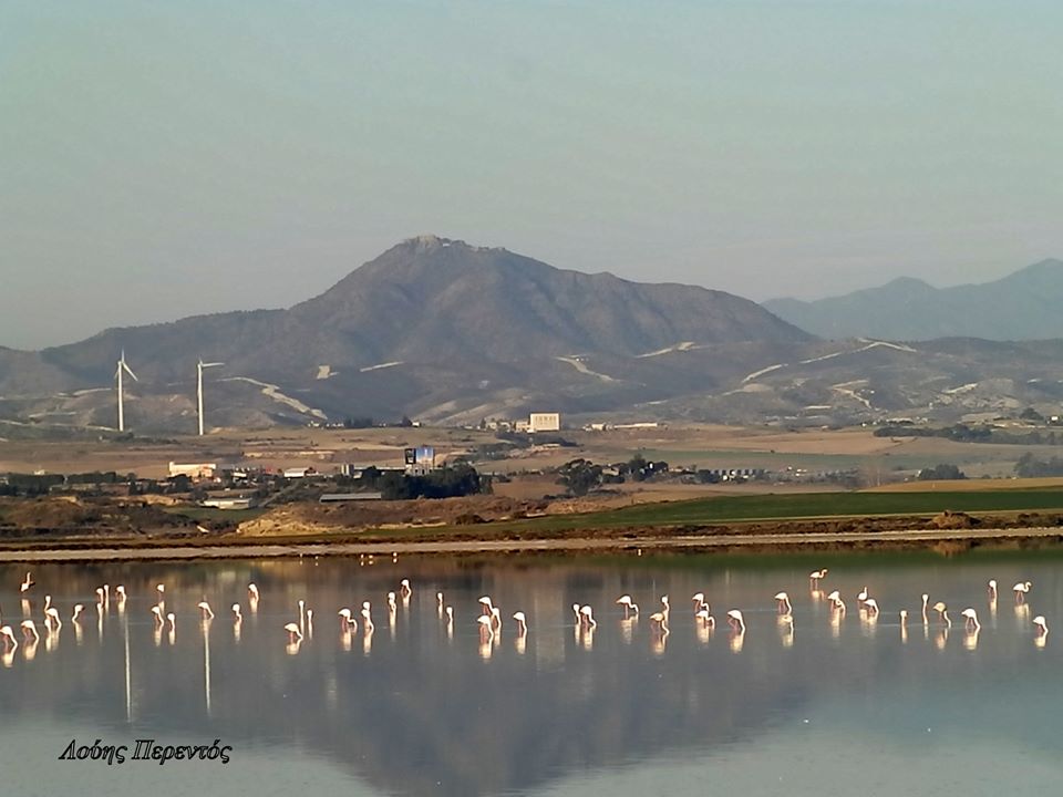 Την Κυριακή η εκδήλωση για την Παγκόσμια Ημέρα Υγροβιότοπων στη Λάρνακα