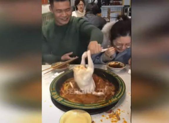Νέα αηδιαστική τάση στην Κίνα-Βάζουν επίτηδες ωμά φαγητά στα πιάτα των εστιατορίων