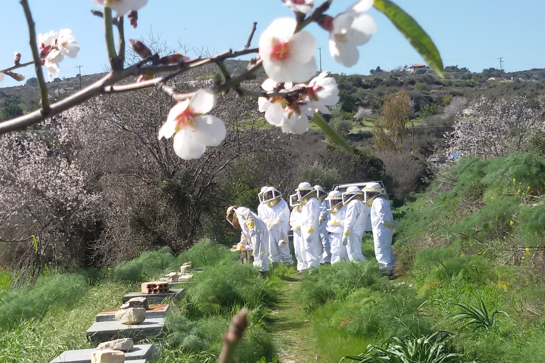 Σήμερα η επιτόπια επιμόρφωση στα Μελισσοχώρια της Κύπρου στην Ορεινή Λάρνακα