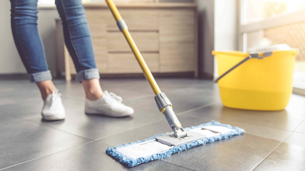 House-Clean-when-Living-with-Pets1
