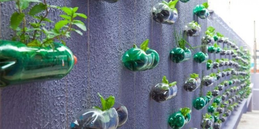 Πώς να φτιάξεις ολόκληρο λαχανόκηπο στο μπαλκόνι σου