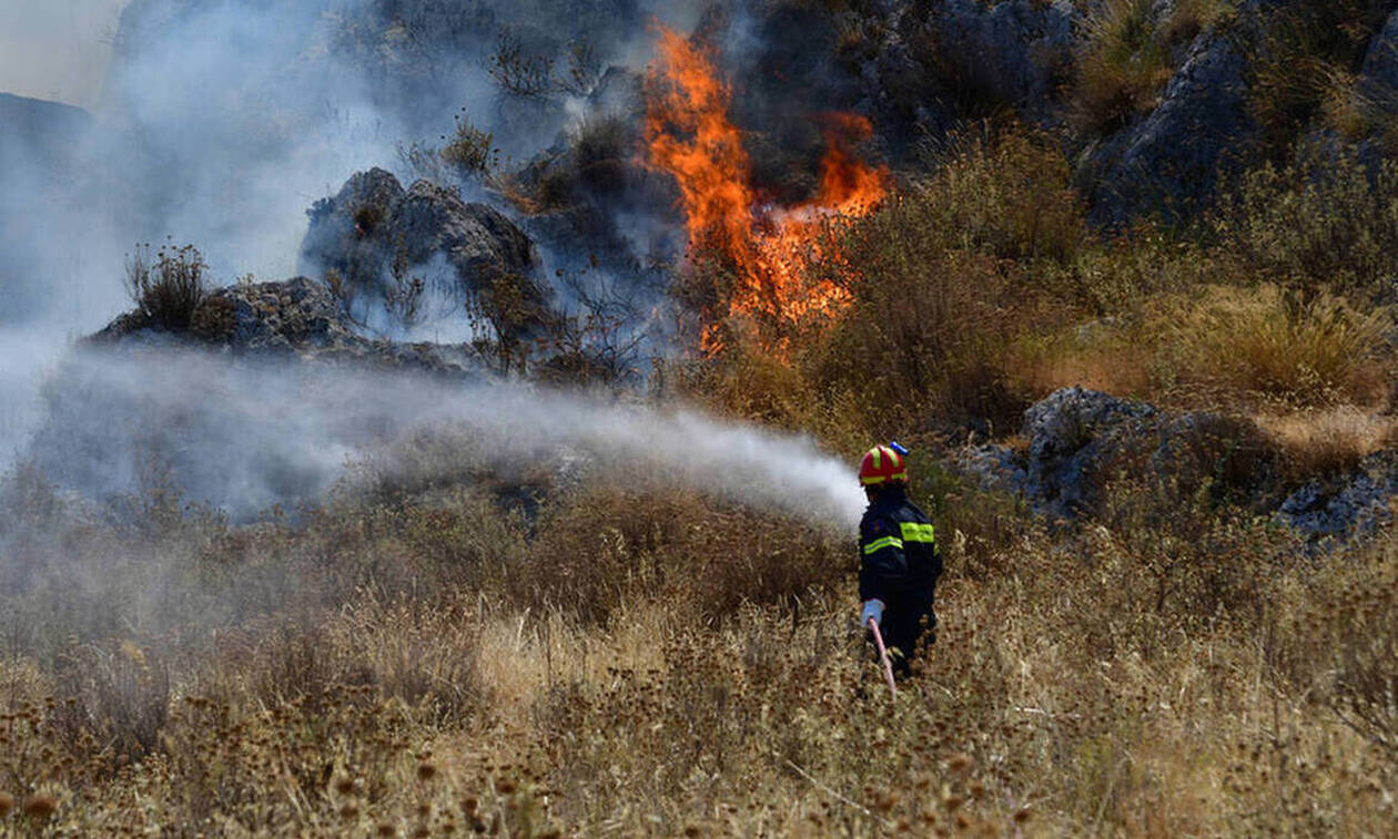 Πυρκαγιά τα ξημερώματα στην περιοχή του ποταμού Τρέμιθου στο Μαζωτό