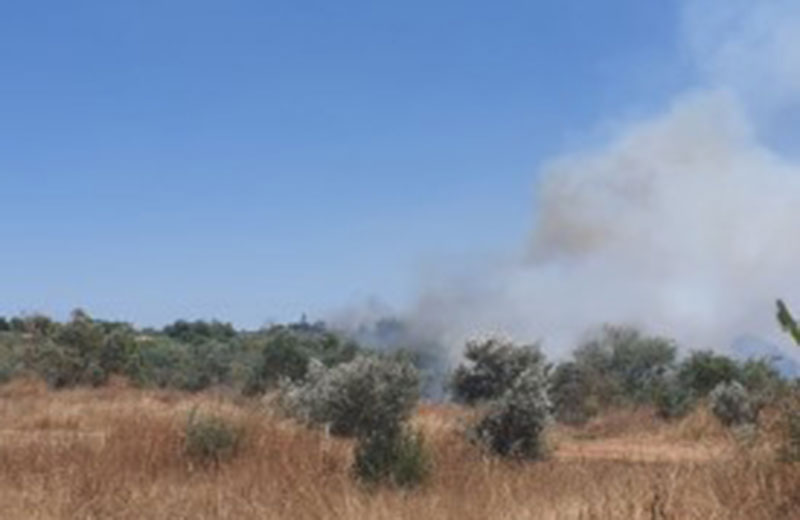 Επ. Λάρνακας: Ξέσπασε φωτιά στην Ξυλοφάγου (photos)