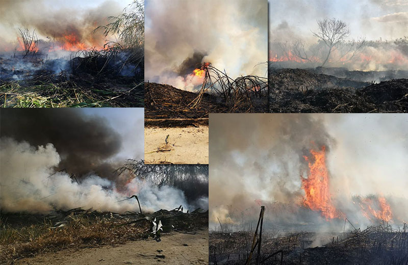 Καμμένη γη άφησε πίσω της η πυρκαγιά στην Αλυκή-Ψάχνουν τα αίτια