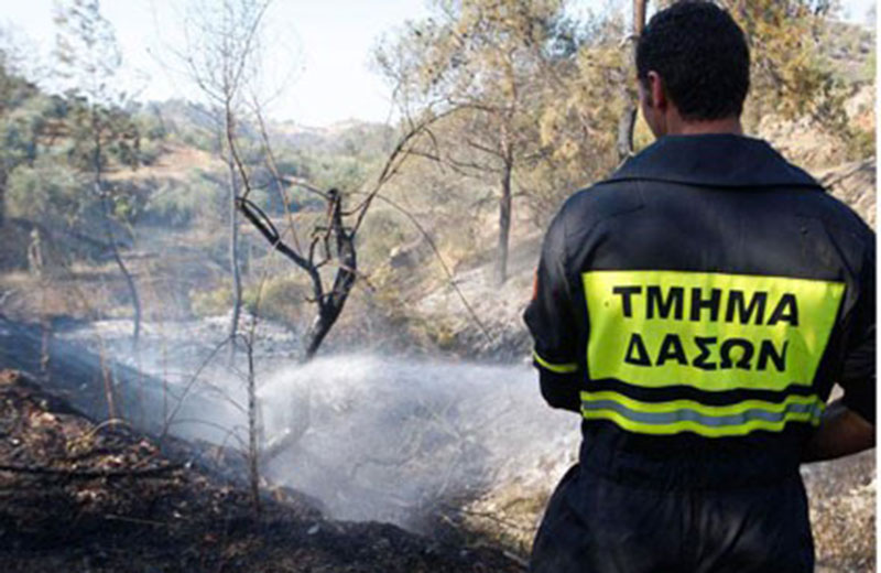 Σε επίπεδο «Κόκκινου Συναγερμού» ο κίνδυνος δασικών πυρκαγιών λόγω έντασης των ανέμων