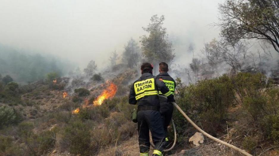 Φωτιά στα Λεύκαρα / Σε κινητοποίηση το Τμήμα Δασών