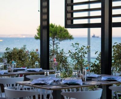 cache_876x3000_Analog_medium_215239_128654_1362019