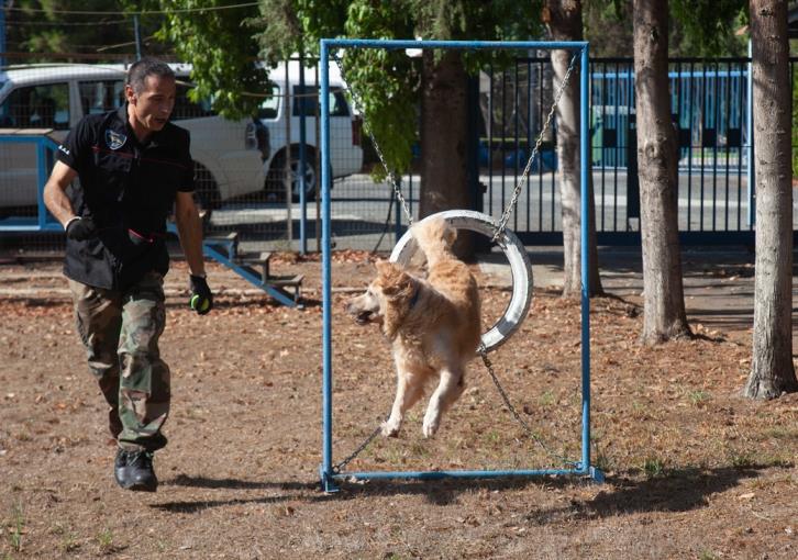 Σκύλοι ανιχνευτές στην υπηρεσία της Αστυνομίας (photos-video)