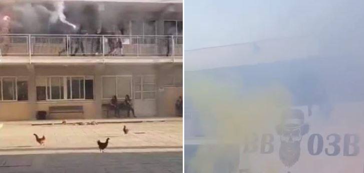 Στην αστυνομία η υπόθεση με τους μαθητές που πετούσαν κουνέλια στο Παραλίμνι