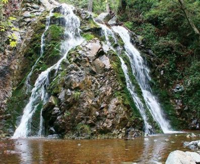 cache_728x3000_Analog_medium_823310_998668_20112019