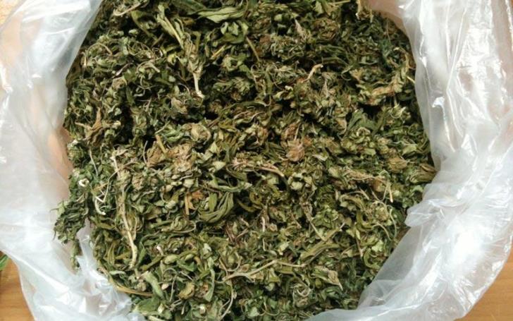 Σ’ ένα μήνα κατασχέθηκαν πέραν των 45 κιλών μαριχουάνας στη Λάρνακα