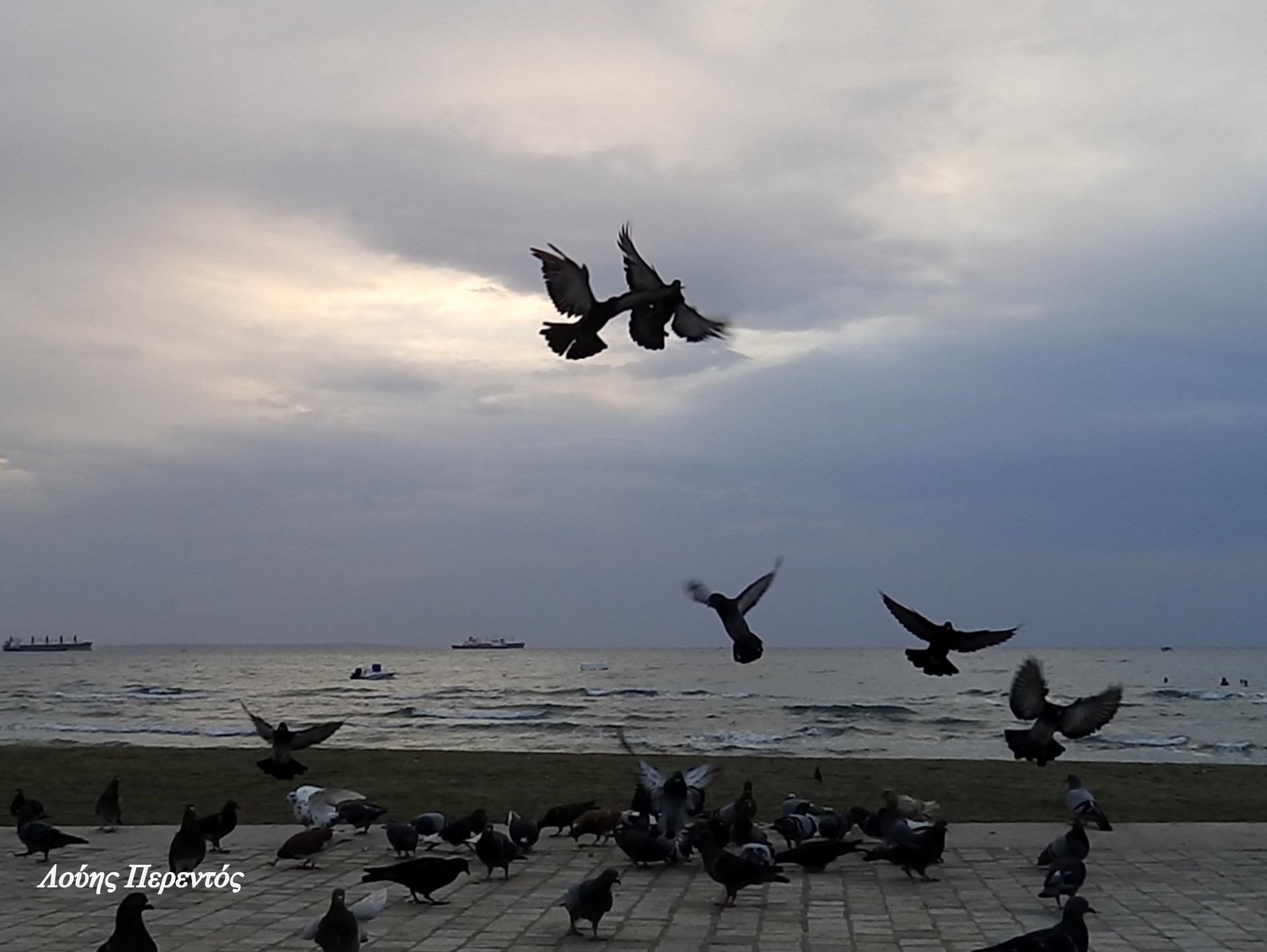 122885179_347491459813831_7625044621707126109_n