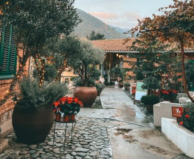 thumbnail_image0 (2)