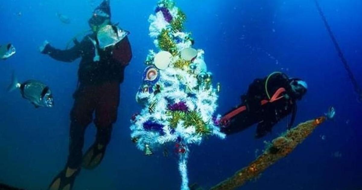 ΛΑΡΝΑΚΑ:Στολισμός Χριστουγεννιάτικου δέντρου στο Ναυάγιο Ζηνοβία