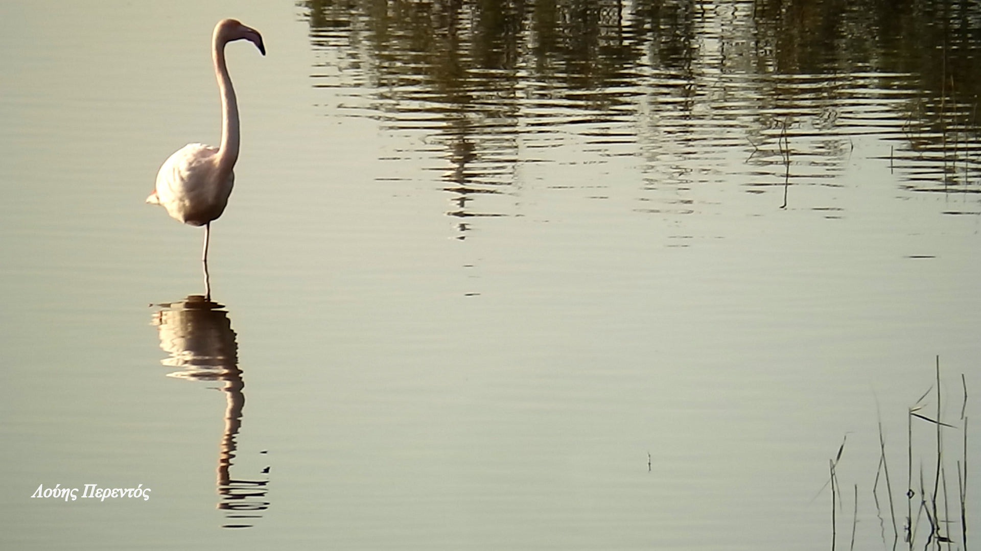 ΚΑΛΗΜΕΡΑ ΛΑΡΝΑΚΑ