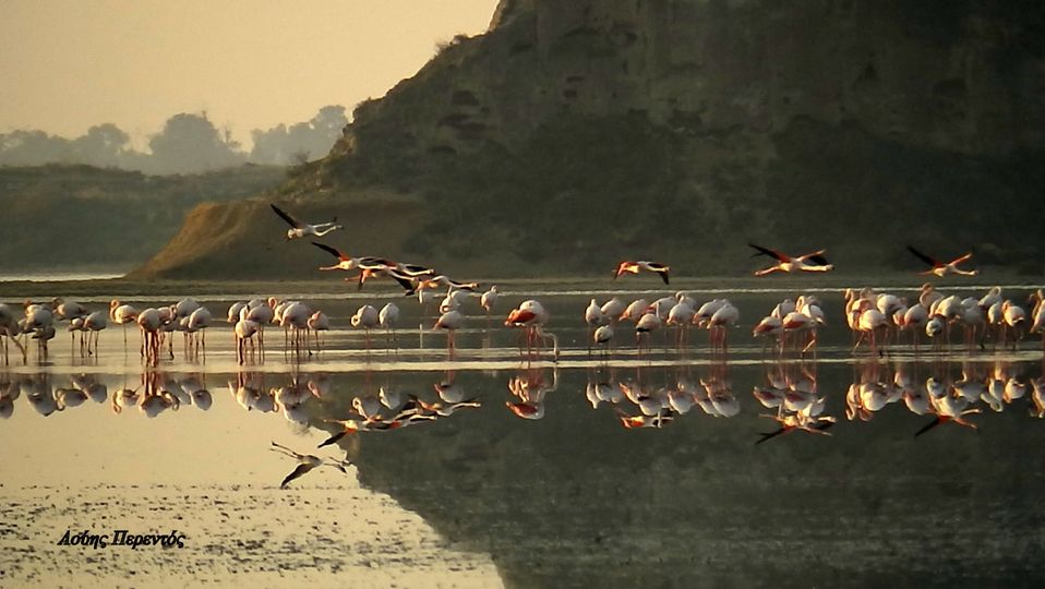 ΚΑΛΗΜΕΡΑ ΛΑΡΝΑΚΑ