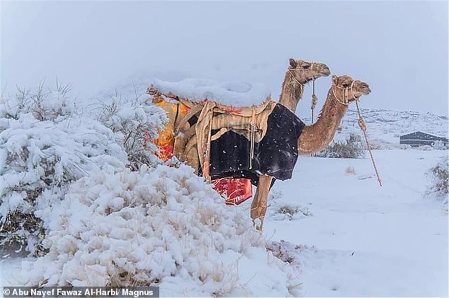 Χιόνισε στη Σαχάρα: Στους -2 βαθμούς στη Σαουδική Αραβία (ΦΩΤΟ)