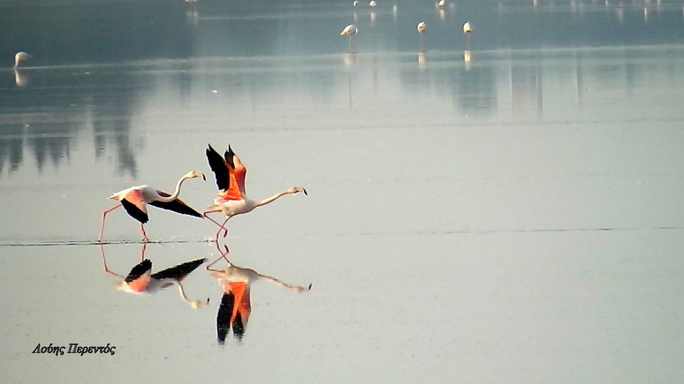 Καλημέρα Λάρνακα και χρόνια πολλά