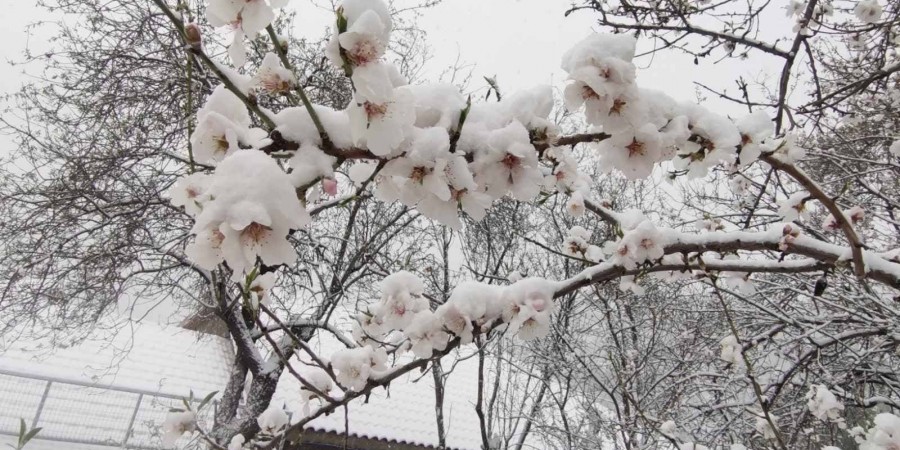 Στα λευκά ντύθηκε και η Οδού της Ορεινής Λάρνακας (φώτο)