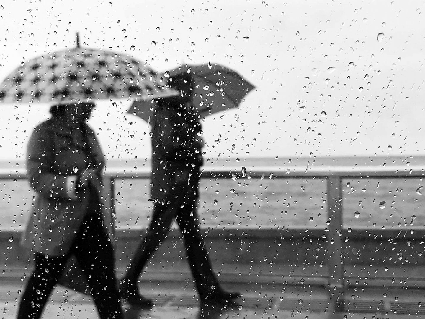 rainy (1)