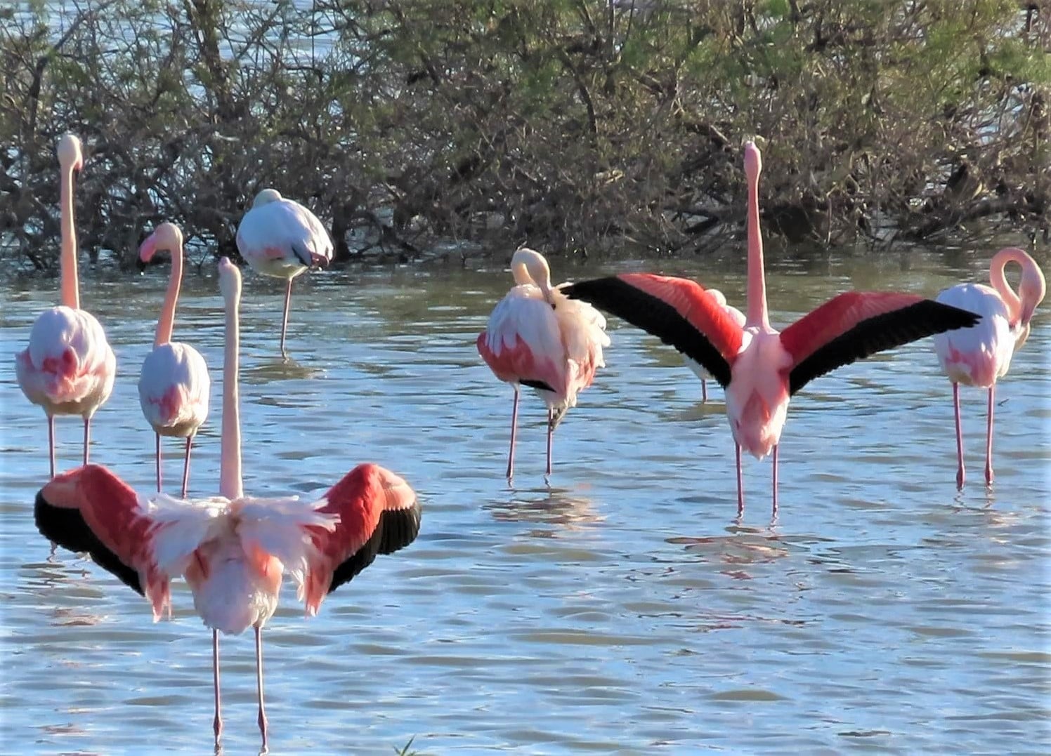 Υπέροχες φωτογραφίες από τη λίμνη της Βορόκληνης (ΦΩΤΟ)