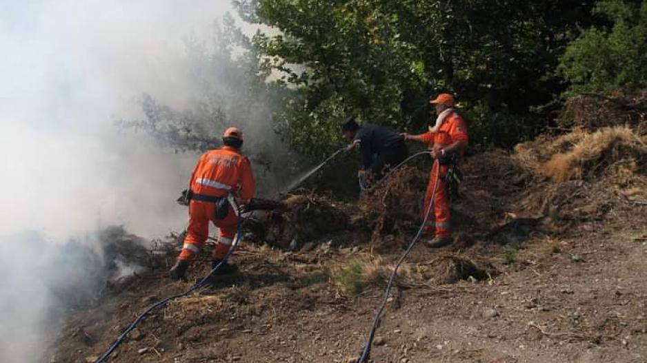 Πέραν των 100 ατόμων τραυματίστηκαν ή έχασαν την ζωή τους σε πυρκαγιές το 2020