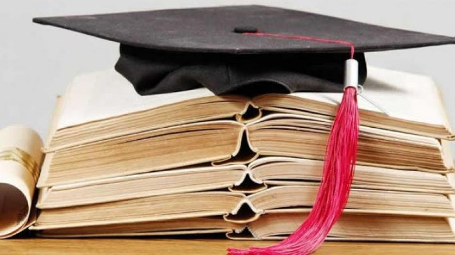 Τμήμα Γεωργίας: Υποτροφίες για προπτυχιακές σπουδές σε κυπριακά πανεπιστήμια