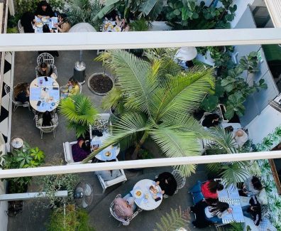 edems_yard_160292675_120282030063080_4696050431960556243_n