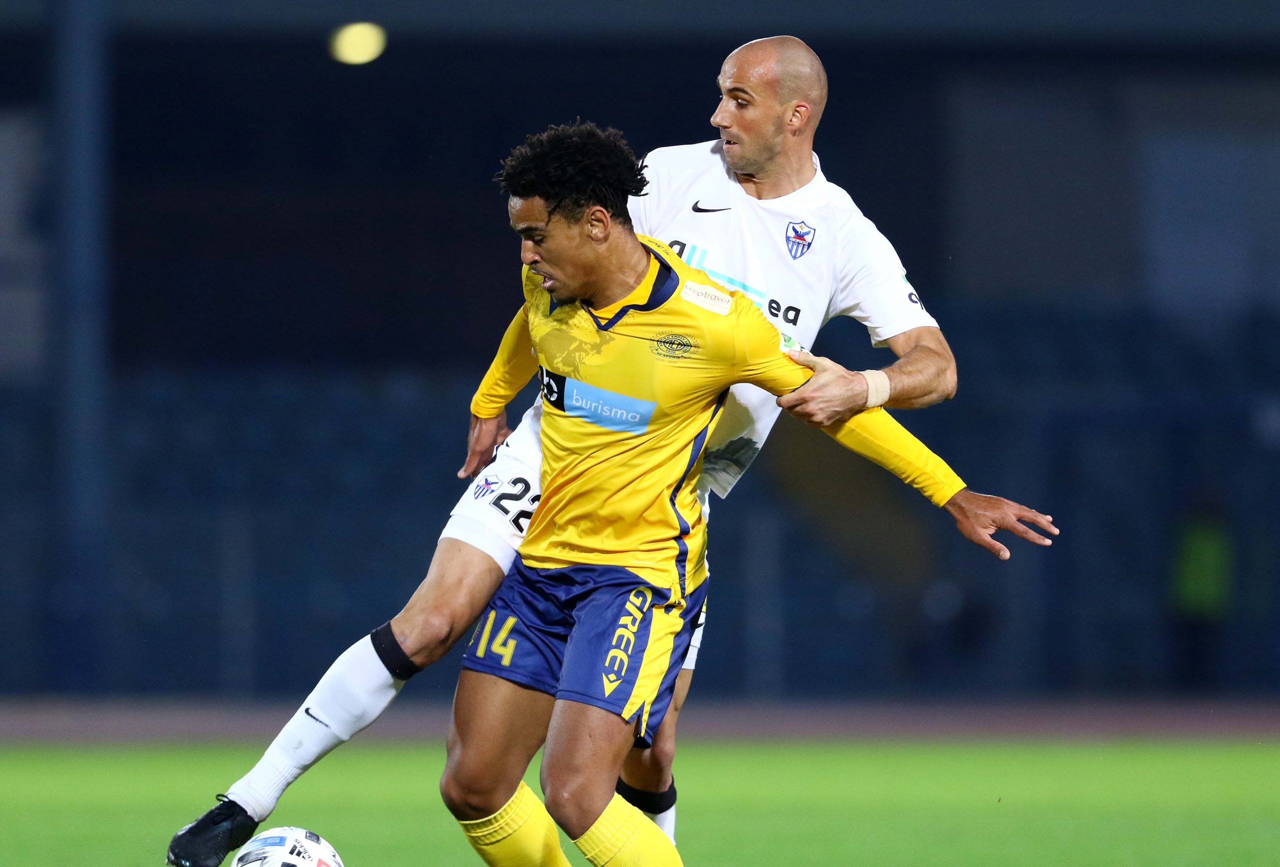 ael (1)