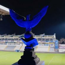 foinikas-mple.fcf74c90a7ab182aa86fee13d0ac85e3