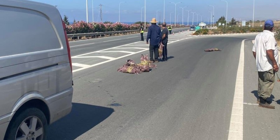 Προσφέρουν πατάτες στους οδηγούς διαμαρτυρόμενοι οι πατατοπαραγωγοί (φώτο)