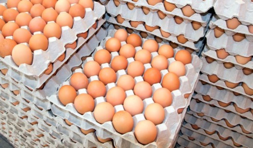 Σημαντική ετήσια μείωση στην παραγωγή αυγών το α΄ τετράμηνο 2021
