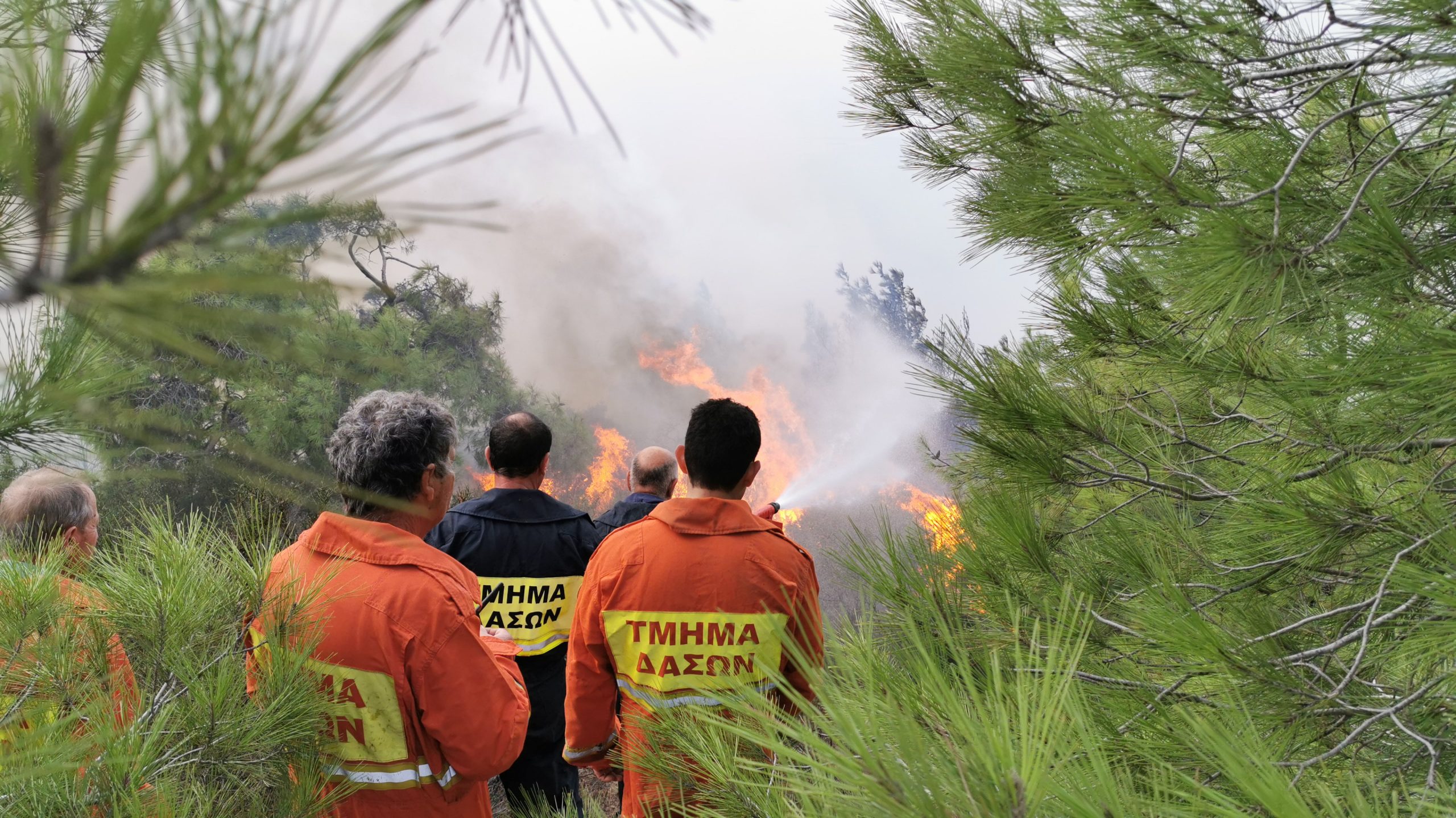 Τμήμα Δασών: Εξαιρετικά μεγάλος ο κίνδυνος δασικών πυρκαγιών για αύριο
