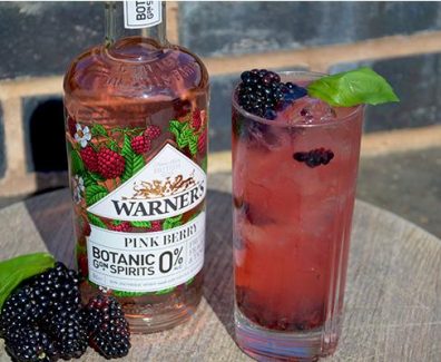 Blackberry_Spritz_with_pink_berry